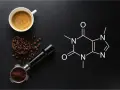 Kawa, ziarna, portafilter i wzór chemiczny kofeiny. Czy kofeina to narkotyk? To pytanie zadaje sobie wielu miłośników kawy.